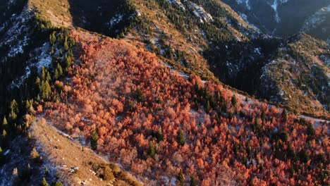 Schöne-Rückwärtige-Drohnenansicht-Der-Herbstfarben-In-Den-Bergen