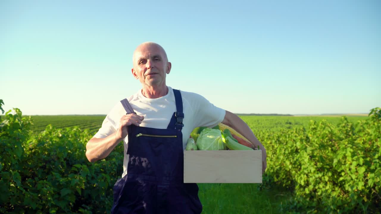 Anziano contadino felice cammina con una cassetta di verdure biologiche e guarda in camera. Rallentatore