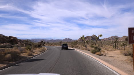 pov in prima persona che guida attraverso joshua tree in california