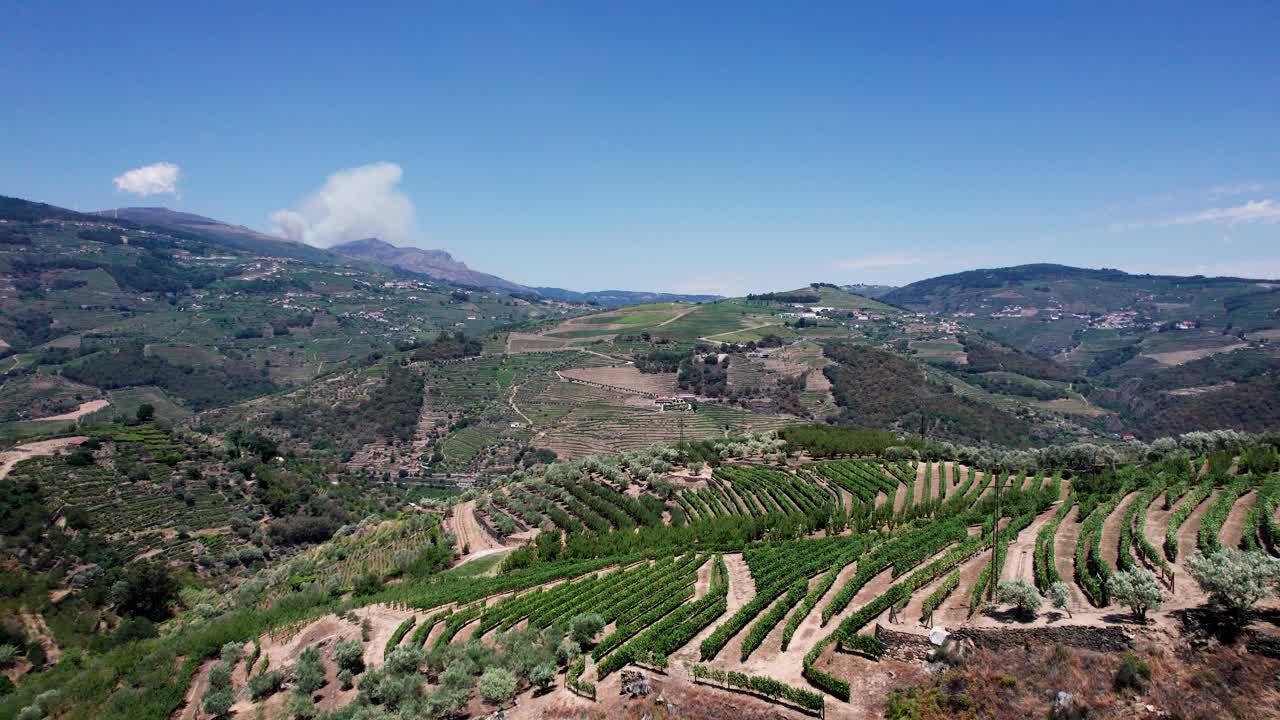 Terrazzamenti vitati sopra la valle rurale del Douro in Portogallo sotto un cielo blu.