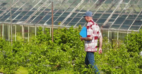 Selbstbewusster-Männlicher-Farmforscher,-Der-Blaubeere-Auf-Dem-Feld-Untersucht-Und-Schmeckt