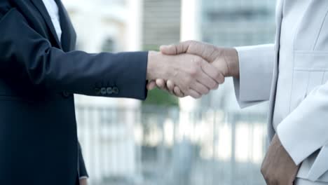 cropped shot of business handshake outdoor