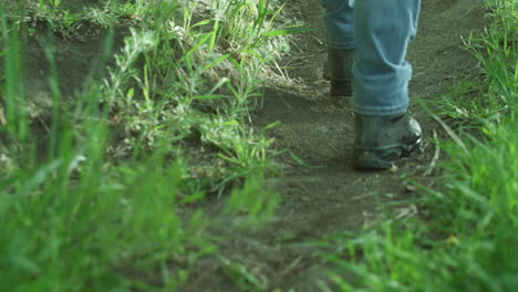 persona tipo hombre pies senderismo caminar por sendero en el exuberante bosque verde de colorado en cámara lenta