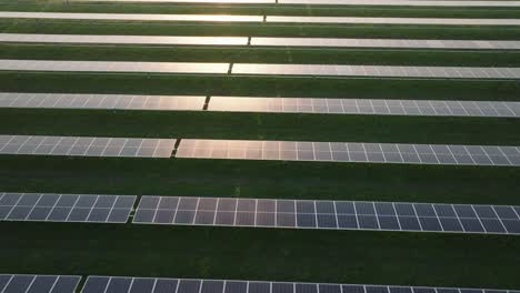 Aerial-view-of-large-solar-panel-farm-in-green-fields-at-sunset