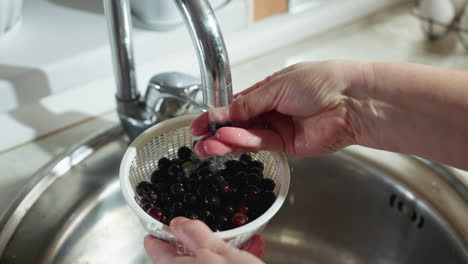 close up of person washing blackberries in white plastic basket under running kitchen tap, hand reaching into basket to pick one berry to eat, sink and soft daylight visible in clean kitchen