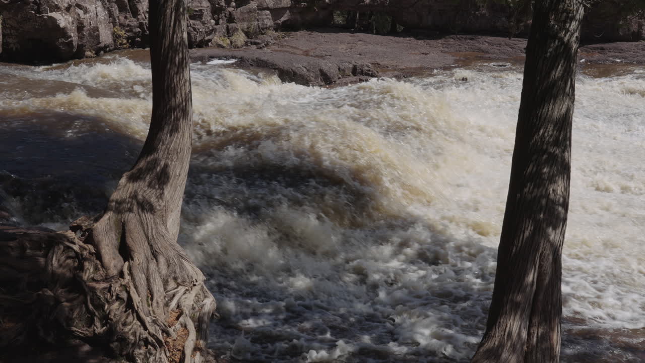 Close View of Turbulent River Rapids Framed by Trees