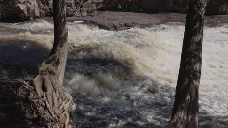 Vista-Cercana-De-Los-Turbulentos-Rápidos-Del-Río-Enmarcados-Por-árboles