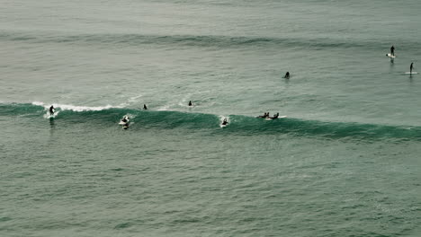 surfers catch some waves off the california coast near san diego, california