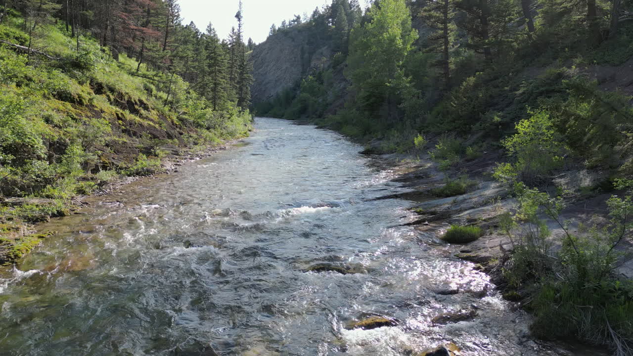Volo su fiume forestale che scorre con bagliore solare - Filmato drone 4K