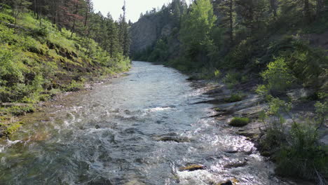 fliegen über einen fließenden waldfluss mit sonnenflare - 4k-drohnen-aufnahmen