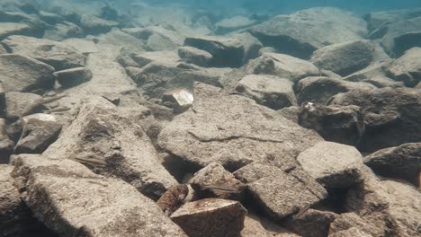 Buceo-En-Cámara-Lenta-Bajo-El-Agua-En-Un-Lago-De-Montaña