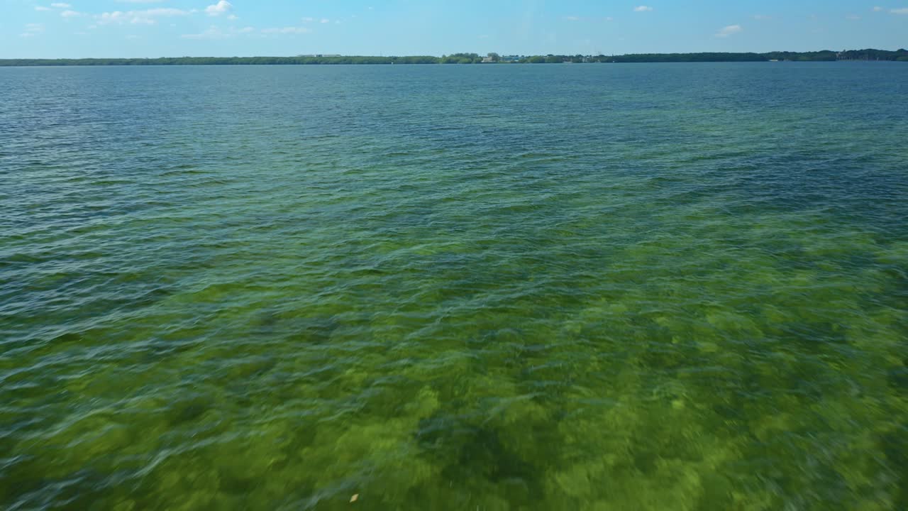 Acqua calma dell'oceano che rivela la vegetazione sottomarina vicino a una costa distante in una giornata limpida. La superficie tranquilla del mare contrasta con le lussureggianti piante verdi sottostanti, creando una tranquilla scena marina