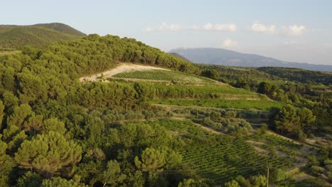 Vista-Aérea-Del-Paisaje-Montañoso-En-Provence-De-Francia-Con-Viñedos