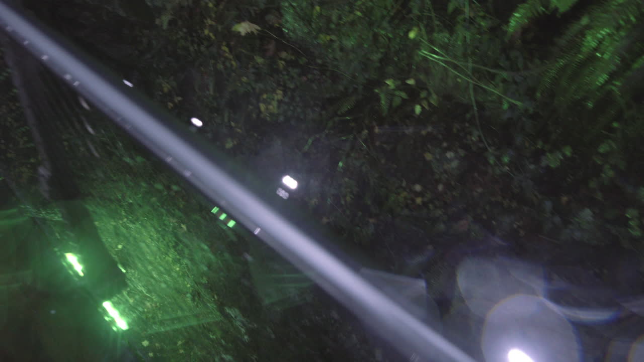 barandilla decorada con luces navideñas verdes en el parque