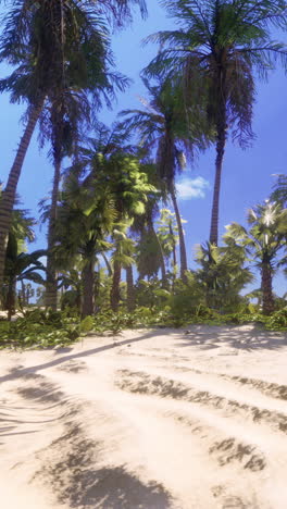 beautiful tropical beach with palm trees