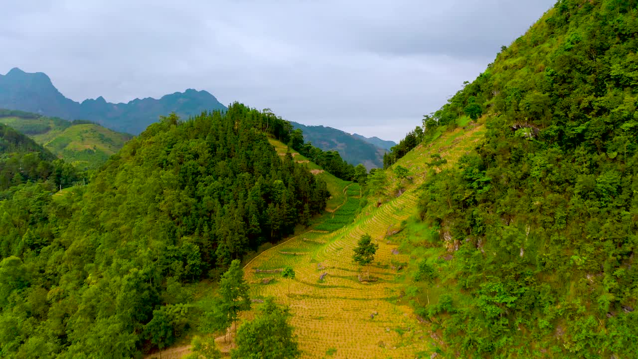 снимок с воздуха, кружащий над вершиной горы