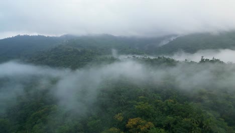 low clouds over rainforest and mountains during sunrise in catanduanes, philippines