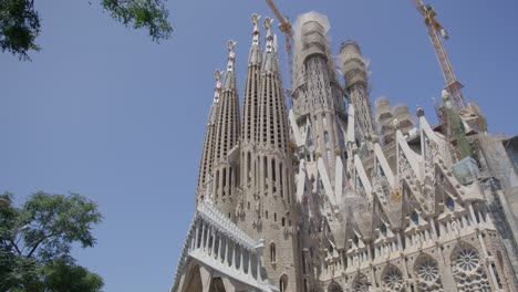 sky view through windy trees as people walk, the famous sagrada familia cathedral in barcelona spain in the early morning in 6k