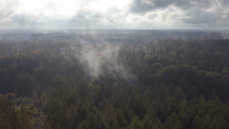 Nebel-Zieht-Auf,-Während-Die-Sonne-Nach-Einem-Regenschauer-Die-Waldlandschaft-Erwärmt