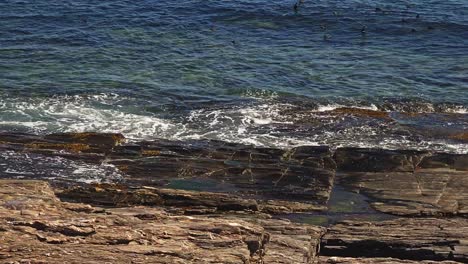 maine rocky coast with large granite rocks and ocean ducks