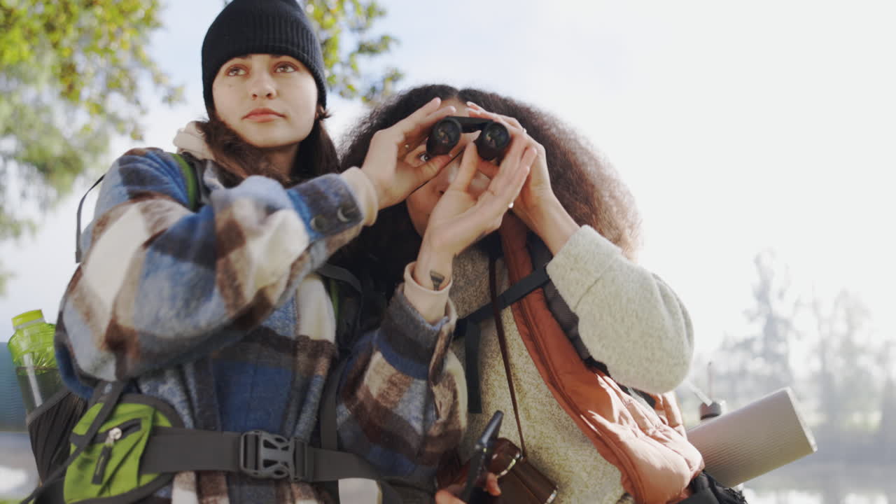 하이킹,  ⁇ 안경, 그리고 여자와의 모험