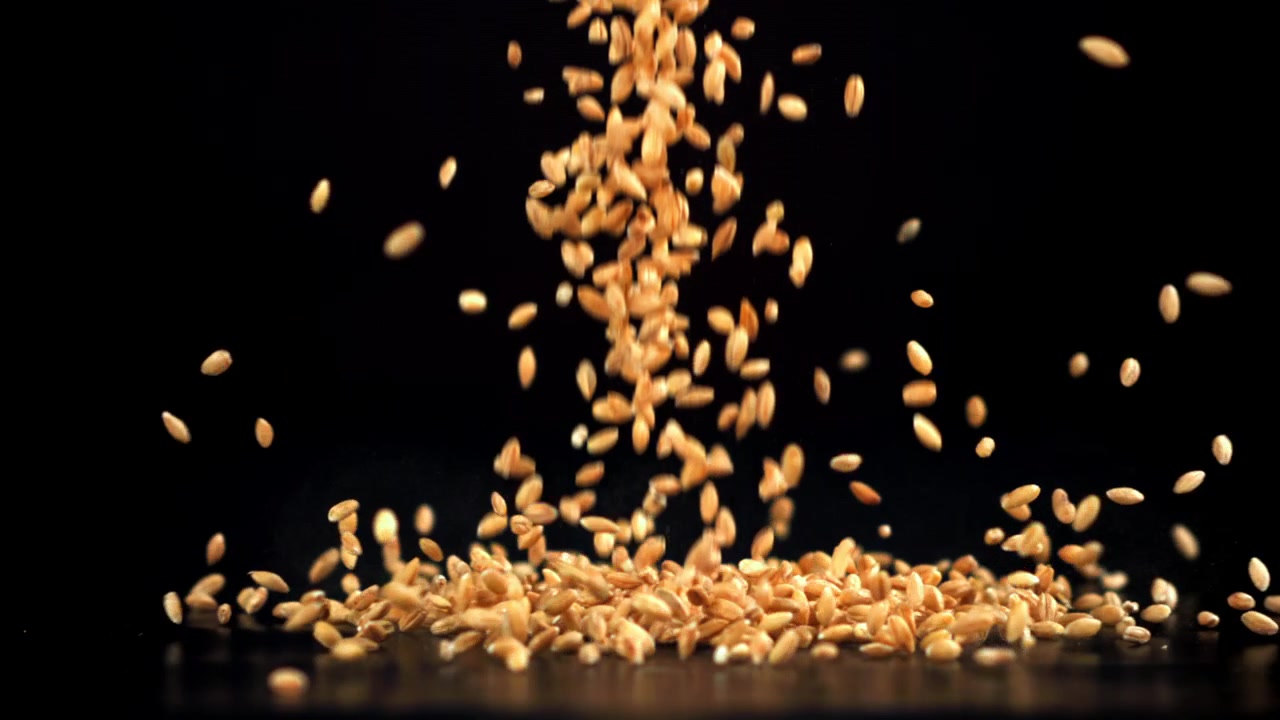 Grani di grano dorati che si riversano su sfondo nero al rallentatore