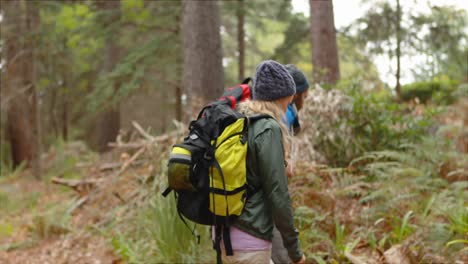 una pareja de excursionistas caminando en el bosque.