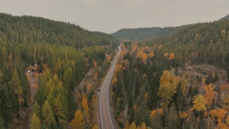 Straße-Inmitten-Des-Waldes-Mit-Pinien-Und-Pappeln-Während-Der-Herbstsaison