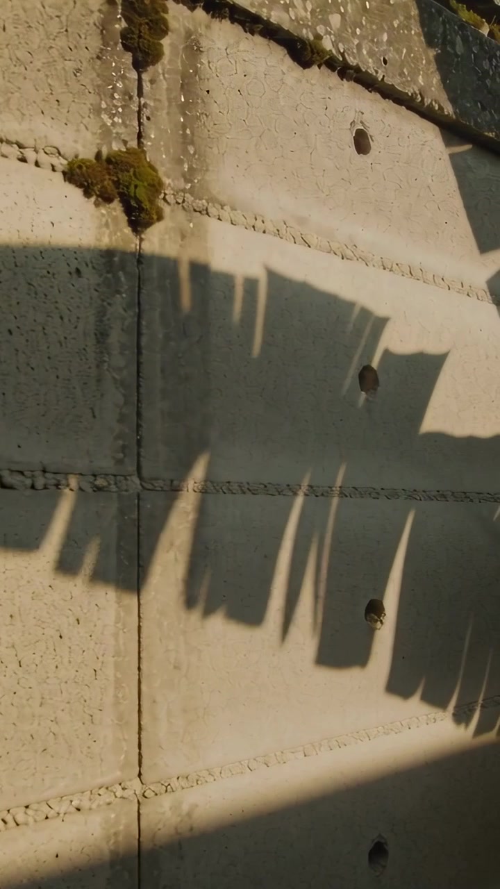 Vertical video: Shifting sun casting clothespin and laundry shadows on block wall, moss visible
