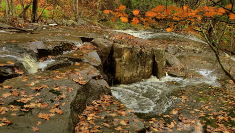 Paisaje-Otoñal,-Pequeño-Arroyo-Fluvial-Que-Fluye-A-Lo-Largo-De-Las-Rocas,-Bosque-Escénico-Con-Colores-Vibrantes