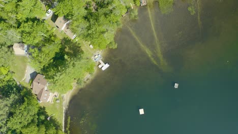 aerial bird's eye shot over beautiful cottages along the lakeside surrounded by lush green vegetation