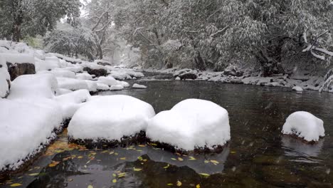 Snow-falling-in-slow-motion-in-the-Boulder-Creek,-Boulder,-Colorado