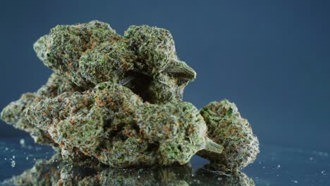 Grayish-Green-Dried-Marijuana-Buds---Close-Up-concept-Shot,-pile-of-dried-marijuana-plants,-orange-trichomes-strains,-on-a-reflecting-rotating-stand,-studio-lights,-slow-motion,-4K-video-3