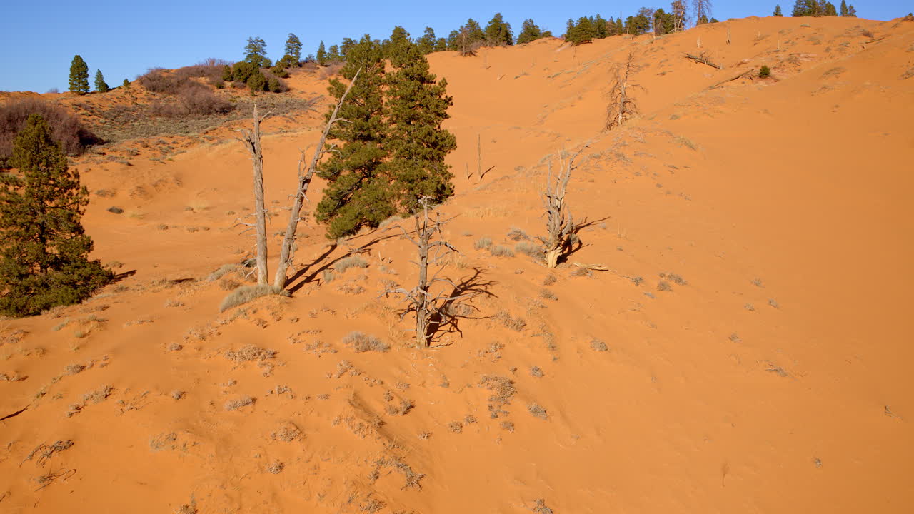 Aerial footage offers a dramatic view of the pink sand dunes, bursting with color and interesting terrain.