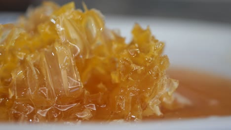 close-up of a honeycomb