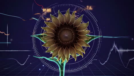 sunflower in abstract digital art
