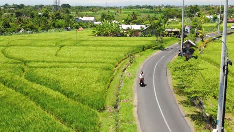 aerial view of couple riding a motorcycle in a winding road in canggu bali indonesia during a bright sunny summer day