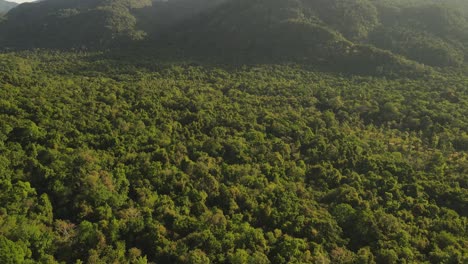 Slow-aerial-tilt-up-of-an-expansive-rainforest-highlighted-by-the-sun-on-the-island-of-Koh-Chang,-Thailand