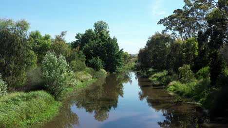 aerial over calm reflective australian river bathed in sunshine