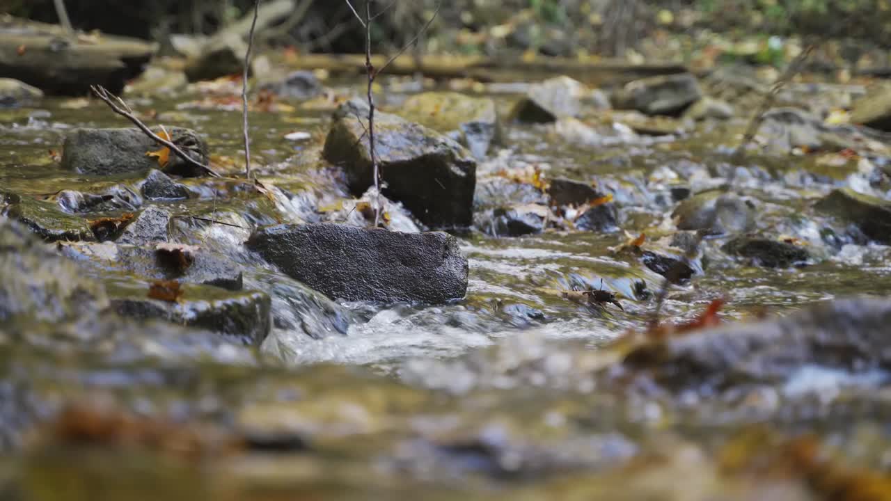 cerca del agua que fluye sobre las rocas en el lecho de un río en un día de otoño en milton, ontario