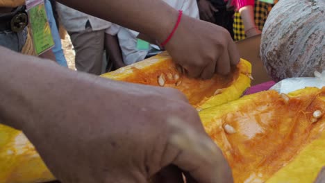 las semillas se extraen de la calabaza a mano, cerrar