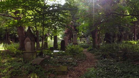 Slow-drone-shot-pulling-back-to-reveal-a-forgotten-cemetery,-overgrown-and-reclaimed-by-nature