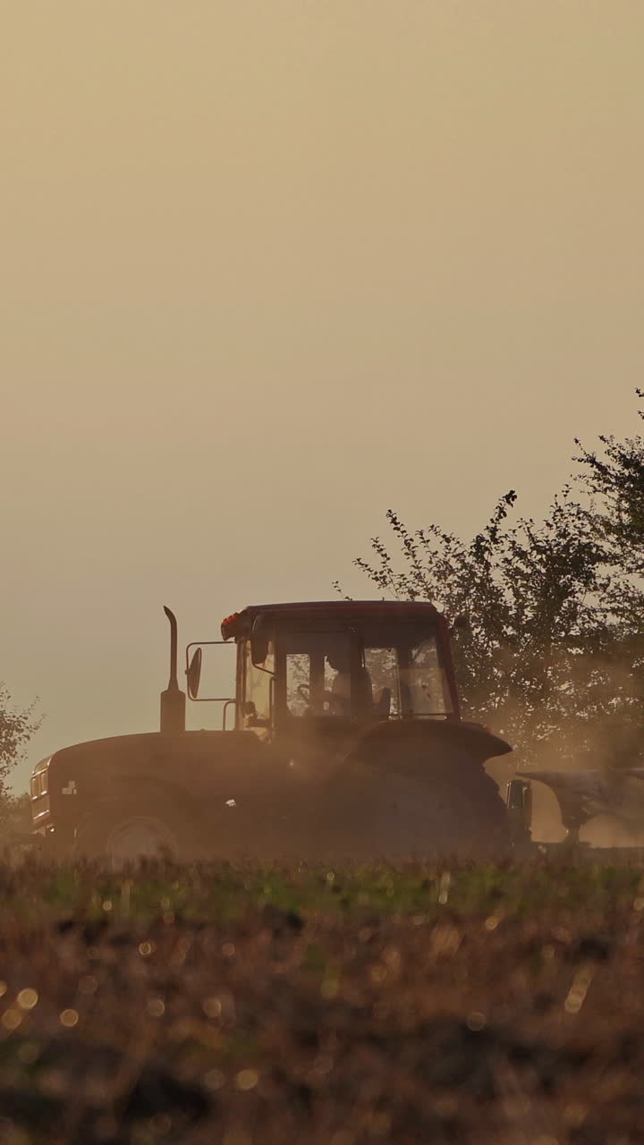 Tractor working on the field in the evening. Agricultural works on the natural background in the countryside. Vertical video