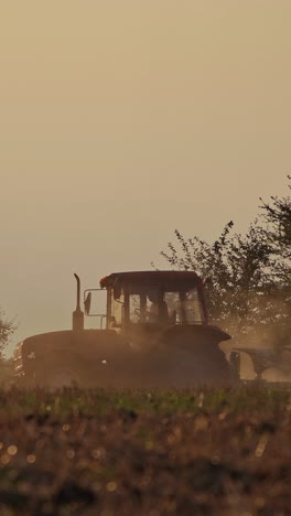 tractor working on the field in the evening. agricultural works on the natural background in the countryside. vertical video