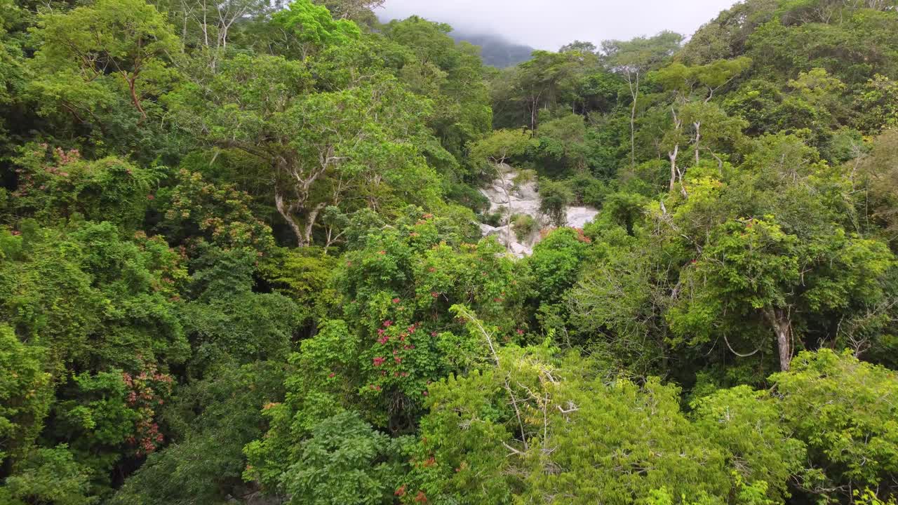 Aerial flight Over green jungle of Columbia, arriving rocky stream on hill
