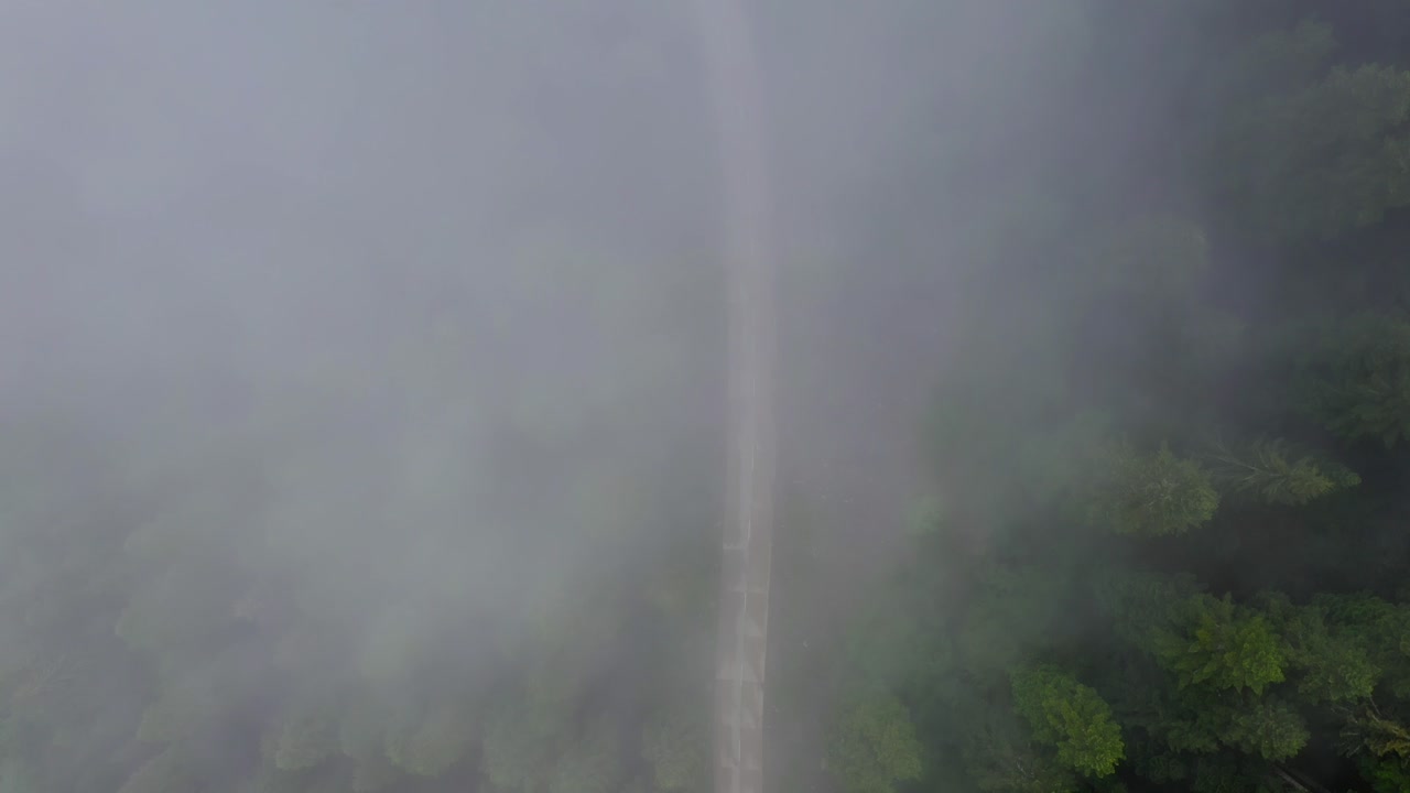 항공: 안개 낀 숲을 통해 도로의 하향식 보기, 흐린 보기