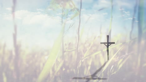 animation of a christian cross over a spring meadow