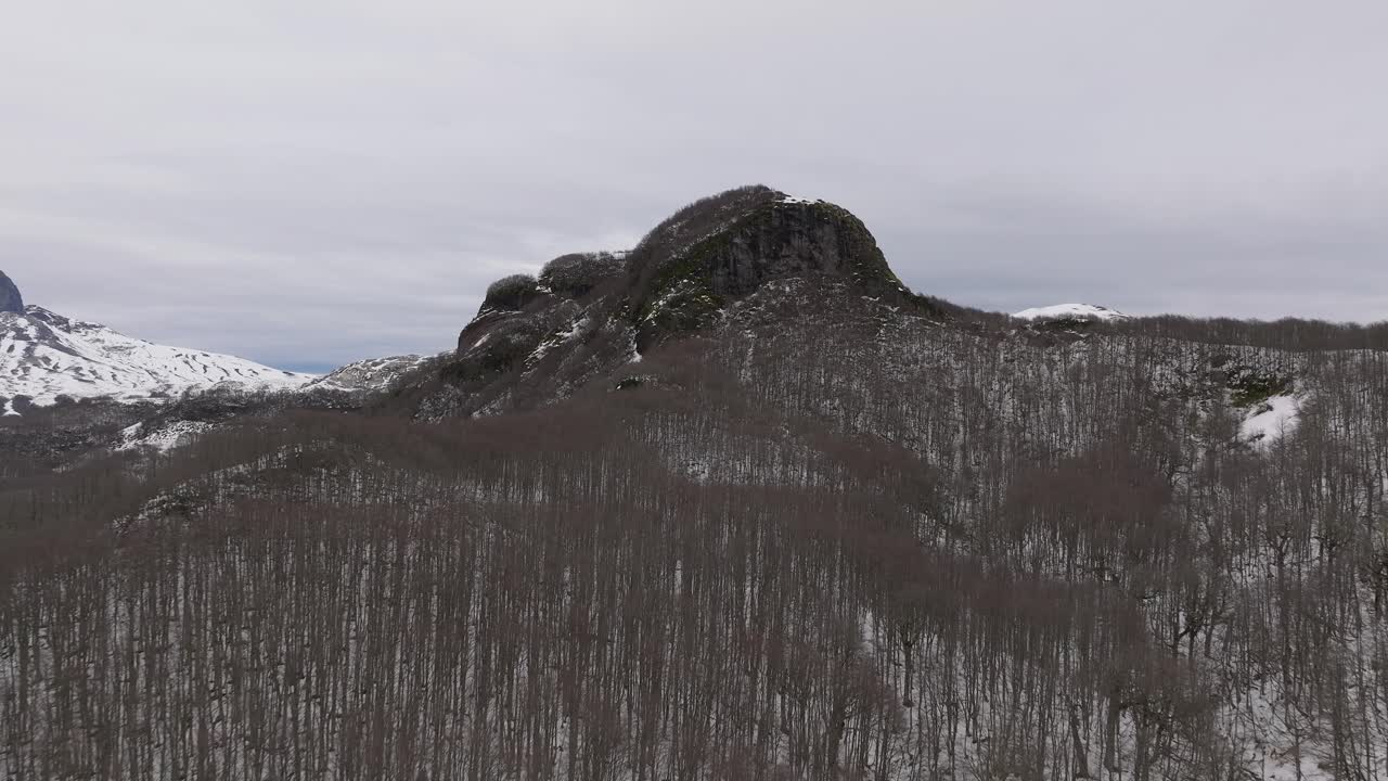 Aerial Flying Over Thin Bare Trees On Snow Covered Mountain Landscape Of Cardinal Antonio Samor&eacute; Pass