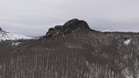 aerial flying over thin bare trees on snow covered mountain landscape of cardinal antonio samoré pass