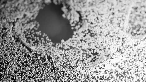 abstract black and white particle vortex
